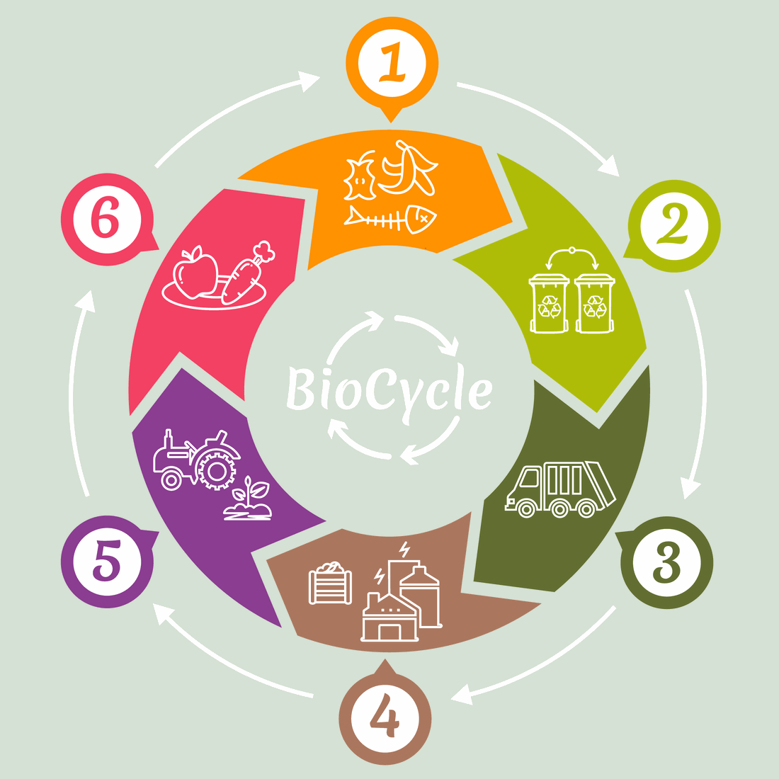BioCycle