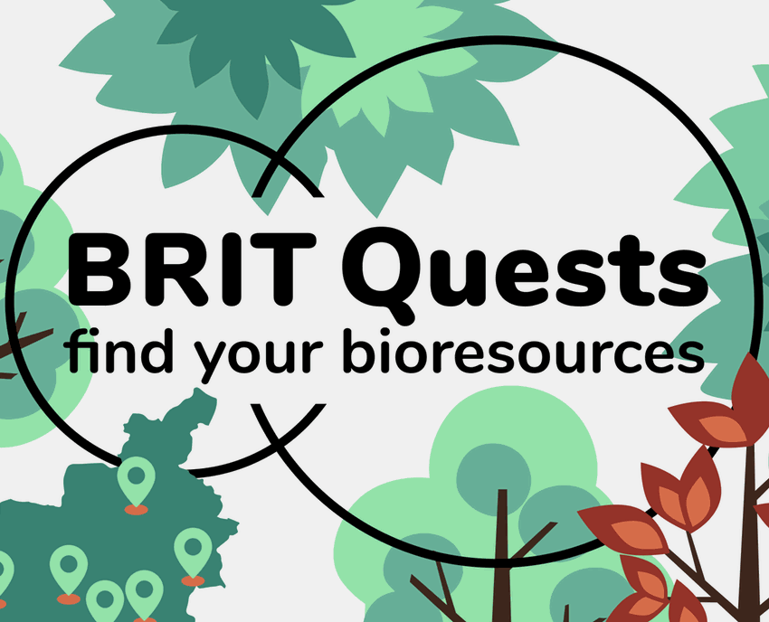 BRIT Quests