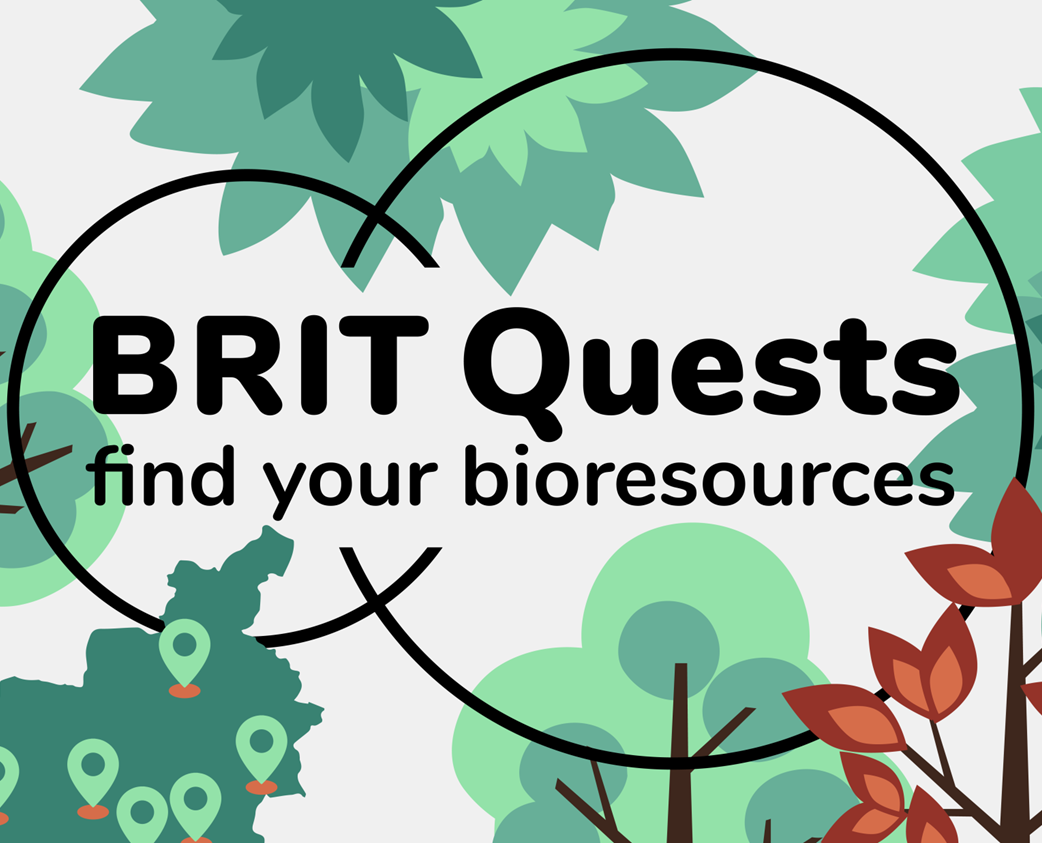 BRIT Quests